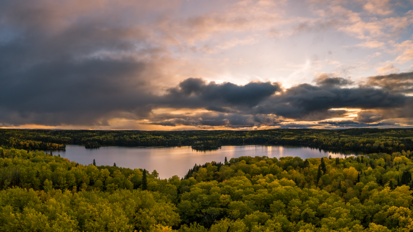 Sunset over a forest landscape