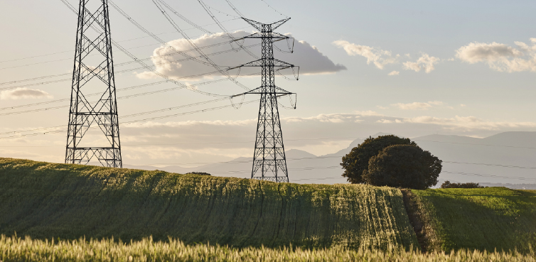 Power lines in a green field